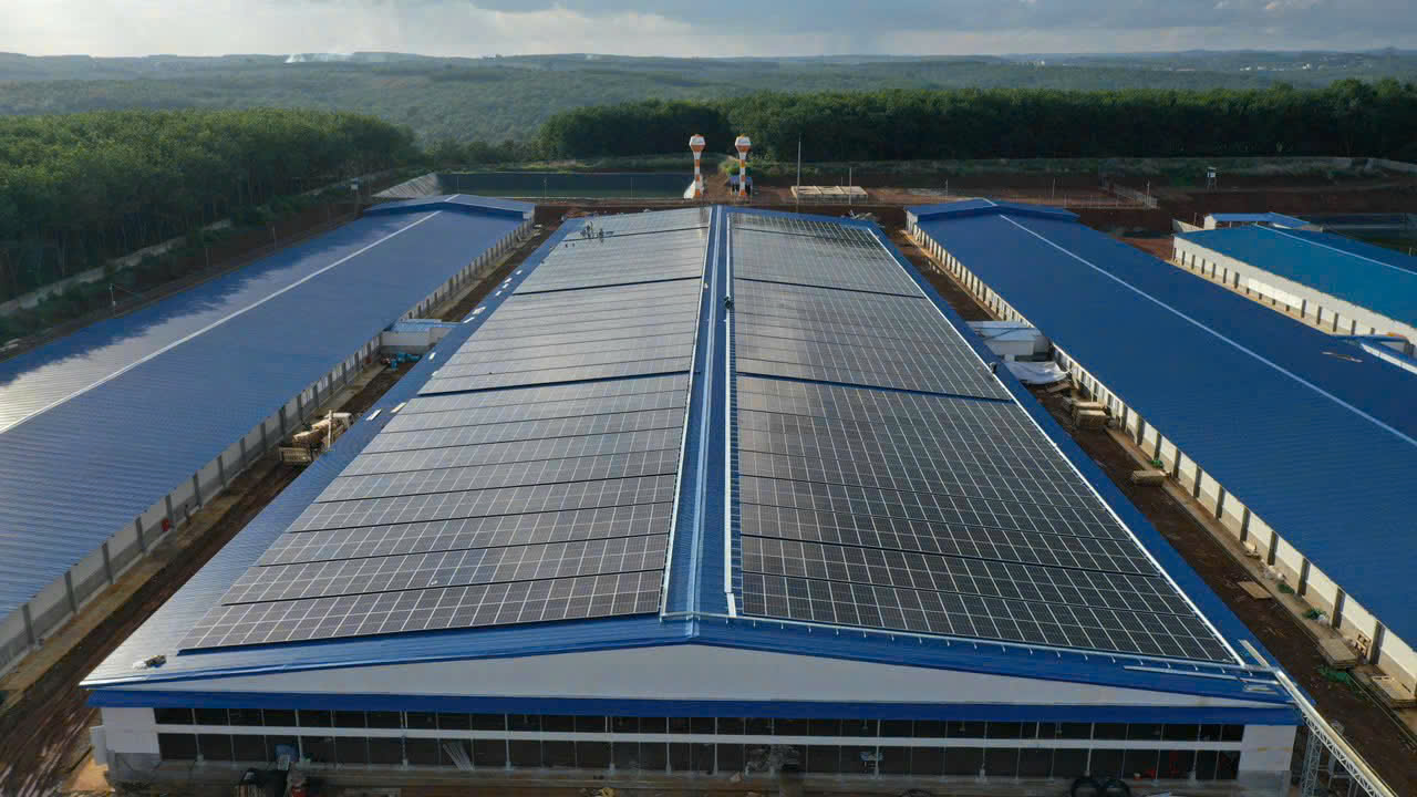Trang Trại Chăn Nuôi Bình Phước - 3.5 MWp